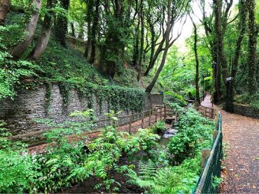 Summerhill Glen